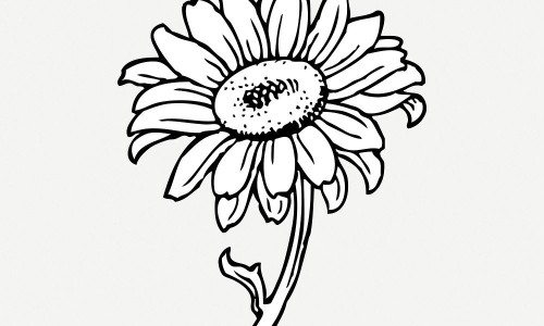 脸上长黄褐斑看什么科-斯达舒里面的胶囊叫什么网—知名的被诈骗报案材料怎么写样本网站,分享脸上长黄褐斑看什么科知识